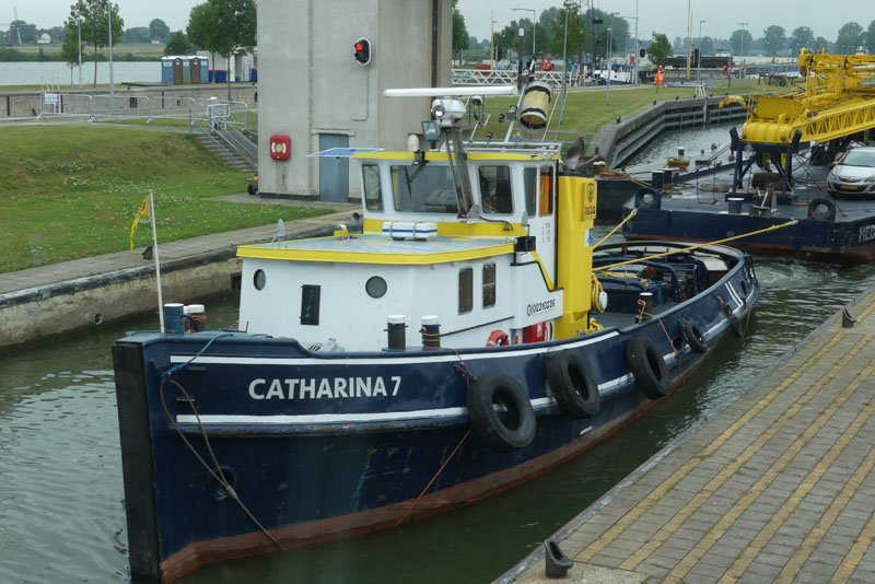 Catharina 7